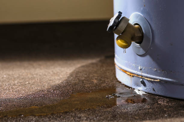 Best Flooded house restoration  in Ak Chin Village, AZ