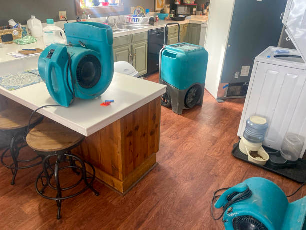  Ak Chin Village, AZ Water damage restoration Pros