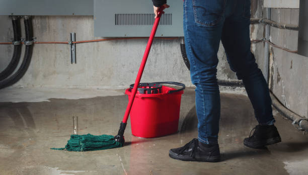 Best Local water damage restoration  in Ak Chin Village, AZ