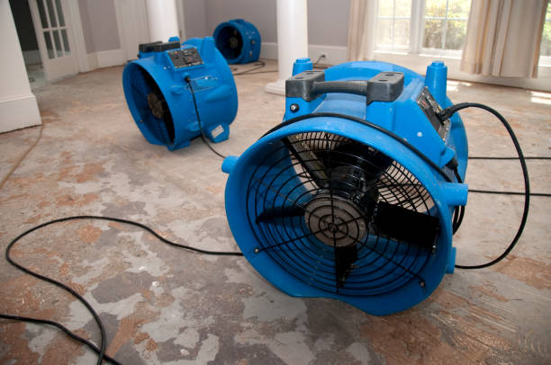 Best Carpet water damage restoration  in Ak Chin Village, AZ