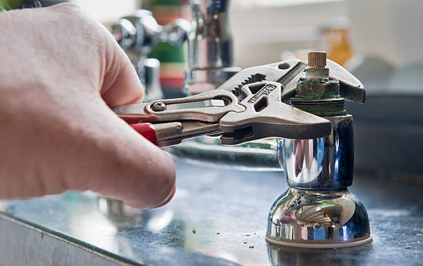 Best Professional water damage repair  in Ak Chin Village, AZ