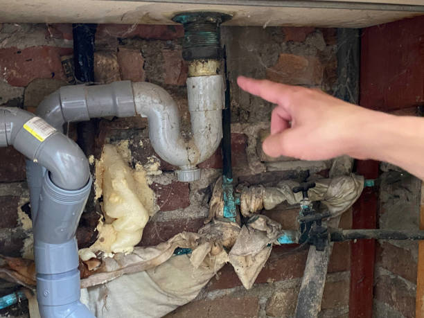 Best Water damage contractors near me  in Ak Chin Village, AZ